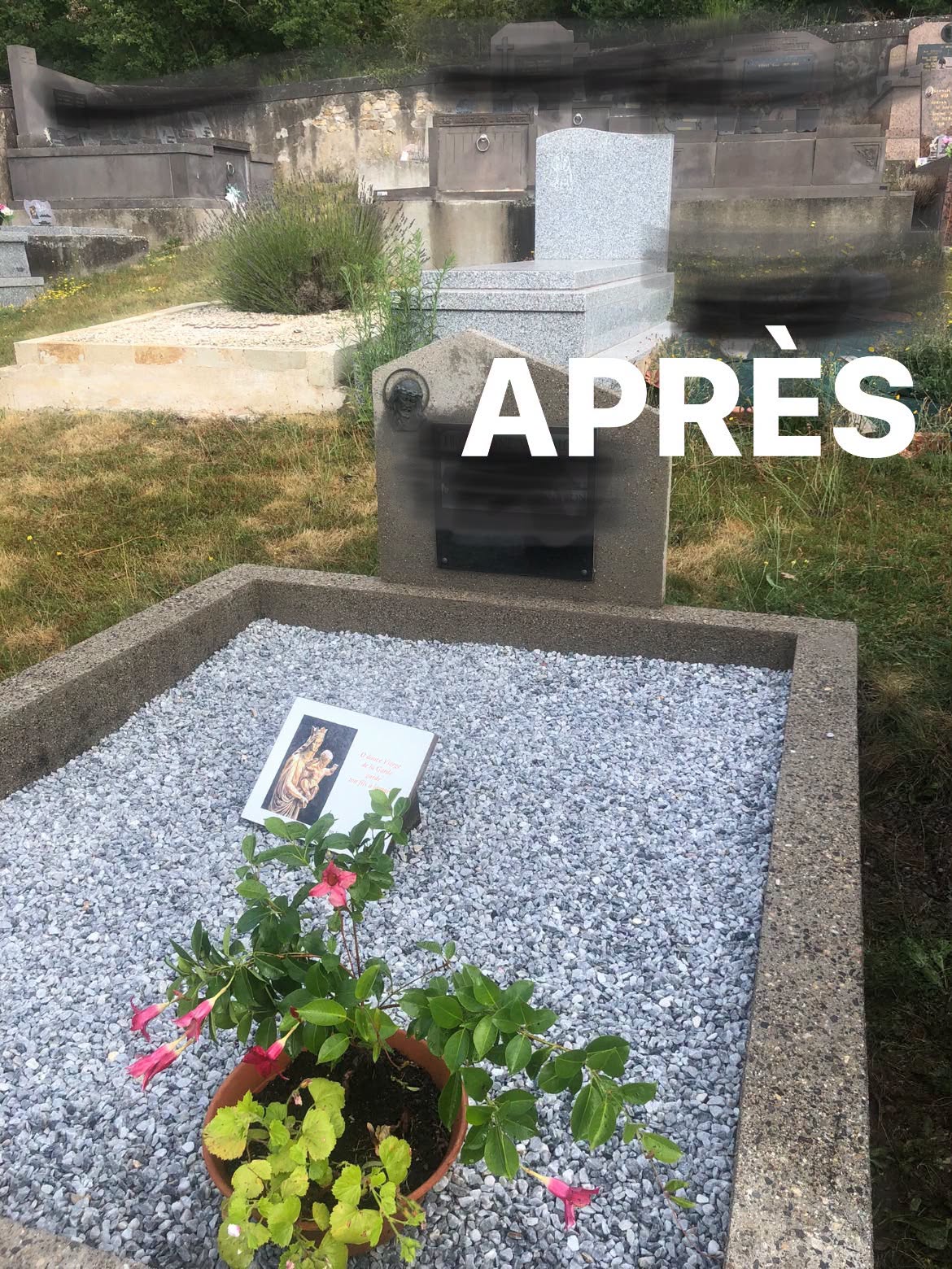 Sépulture désherbée, gravillons propres et plante fleurie déposée après remise en valeur